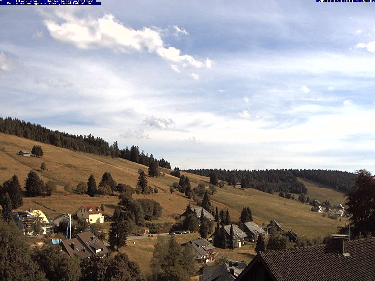 Archiv Foto Webcam Todtnau: Pension Glöcklehof