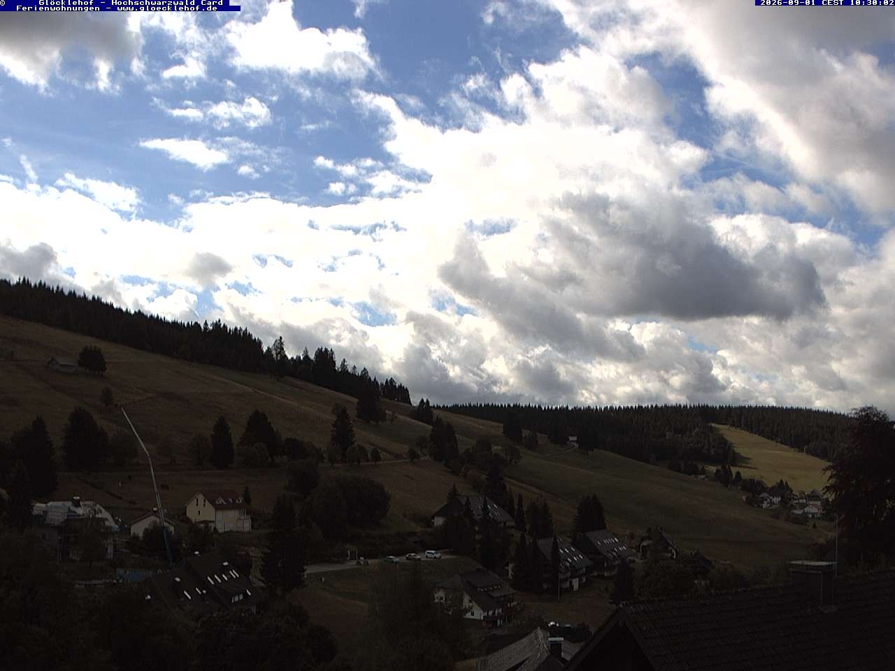 Archiv Foto Webcam Todtnau: Pension Glöcklehof
