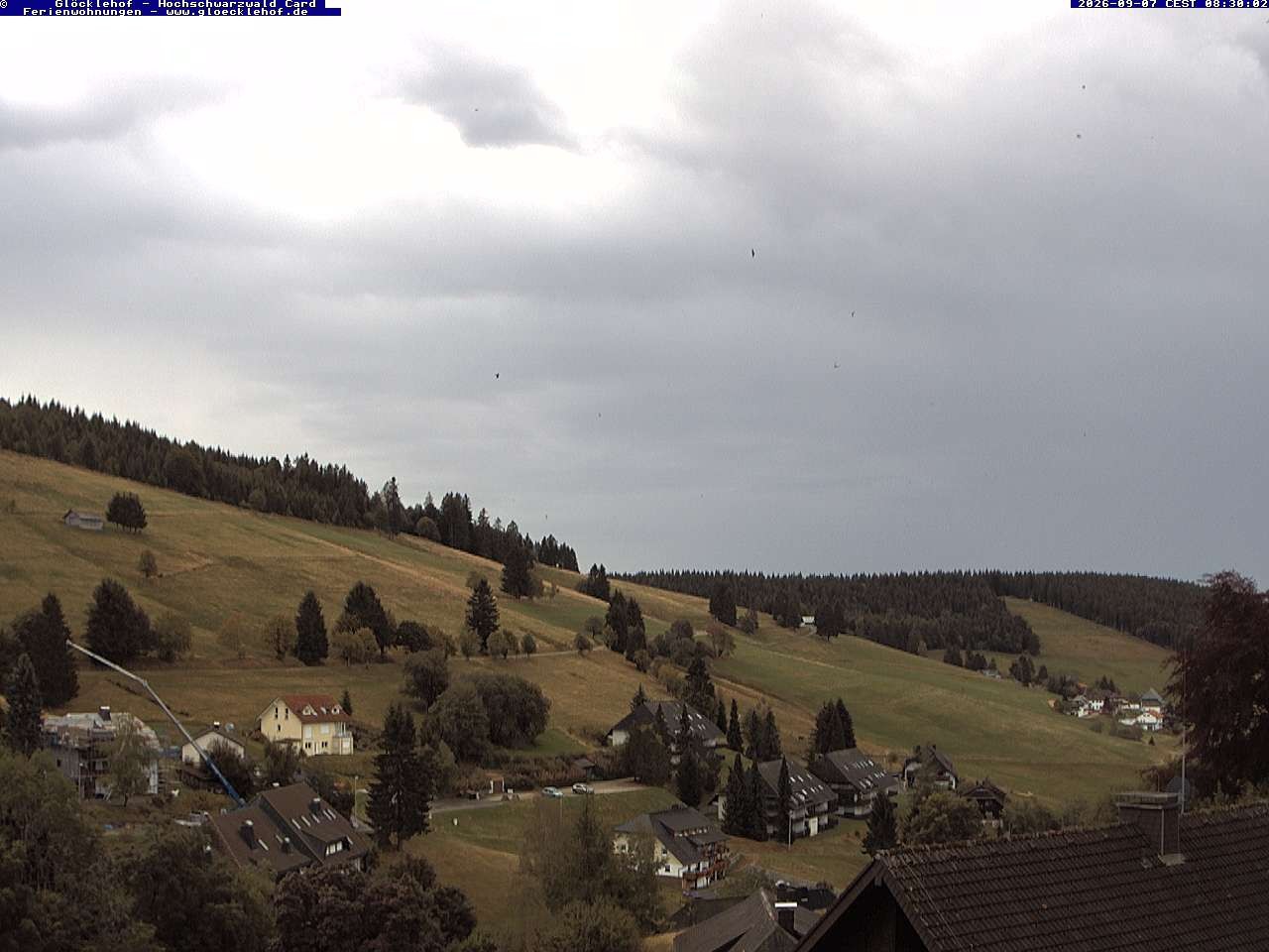 Archiv Foto Webcam Todtnau: Pension Glöcklehof