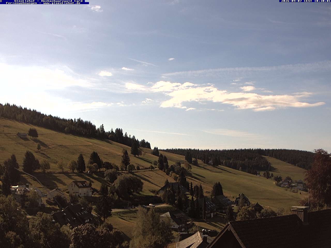 Archiv Foto Webcam Todtnau: Pension Glöcklehof