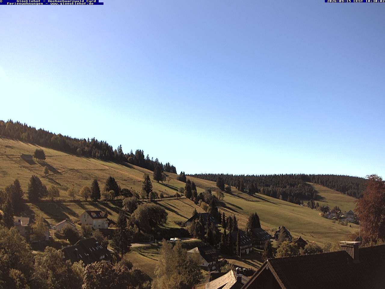 Archiv Foto Webcam Todtnau: Pension Glöcklehof