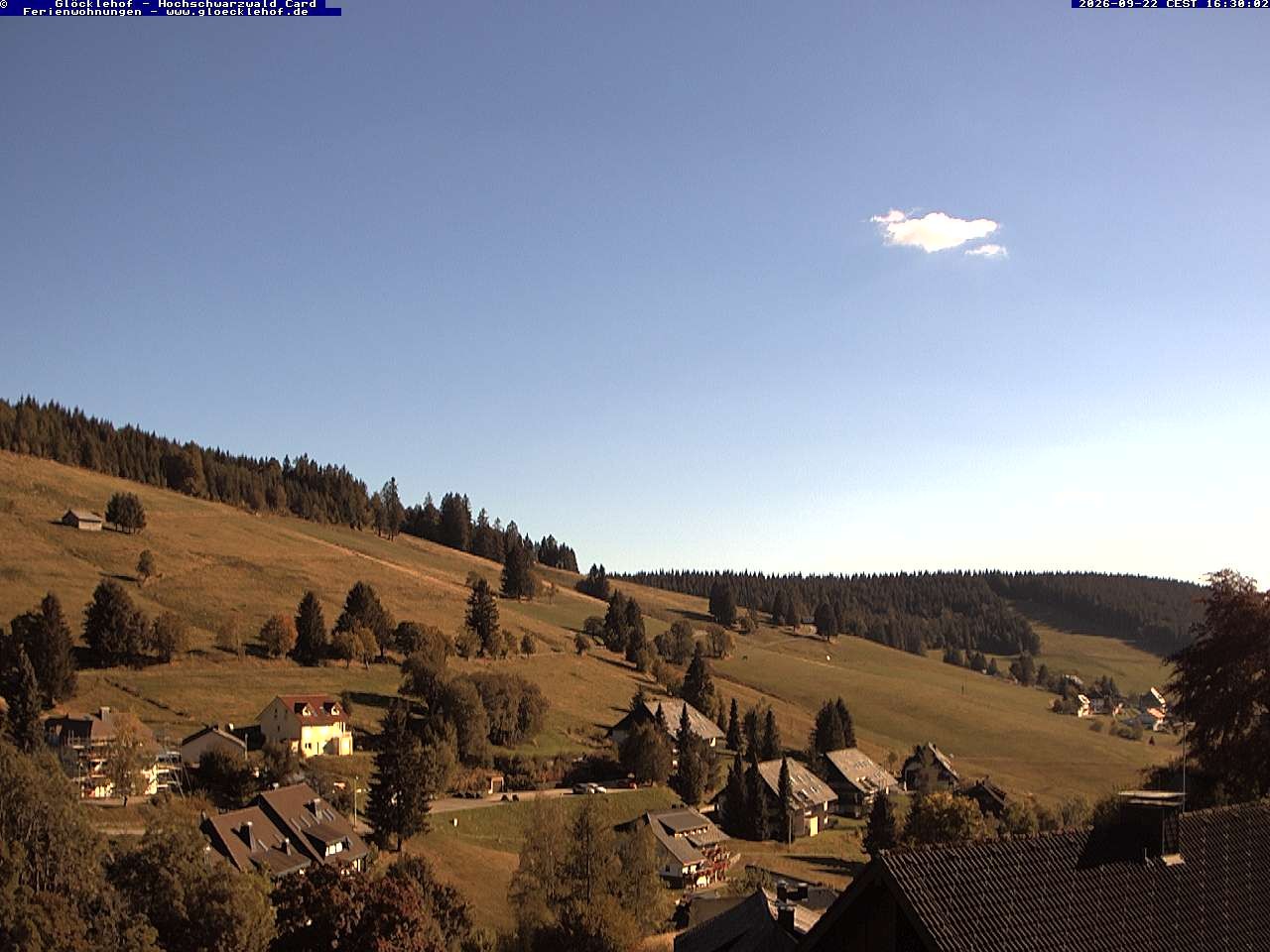 Archiv Foto Webcam Todtnau: Pension Glöcklehof