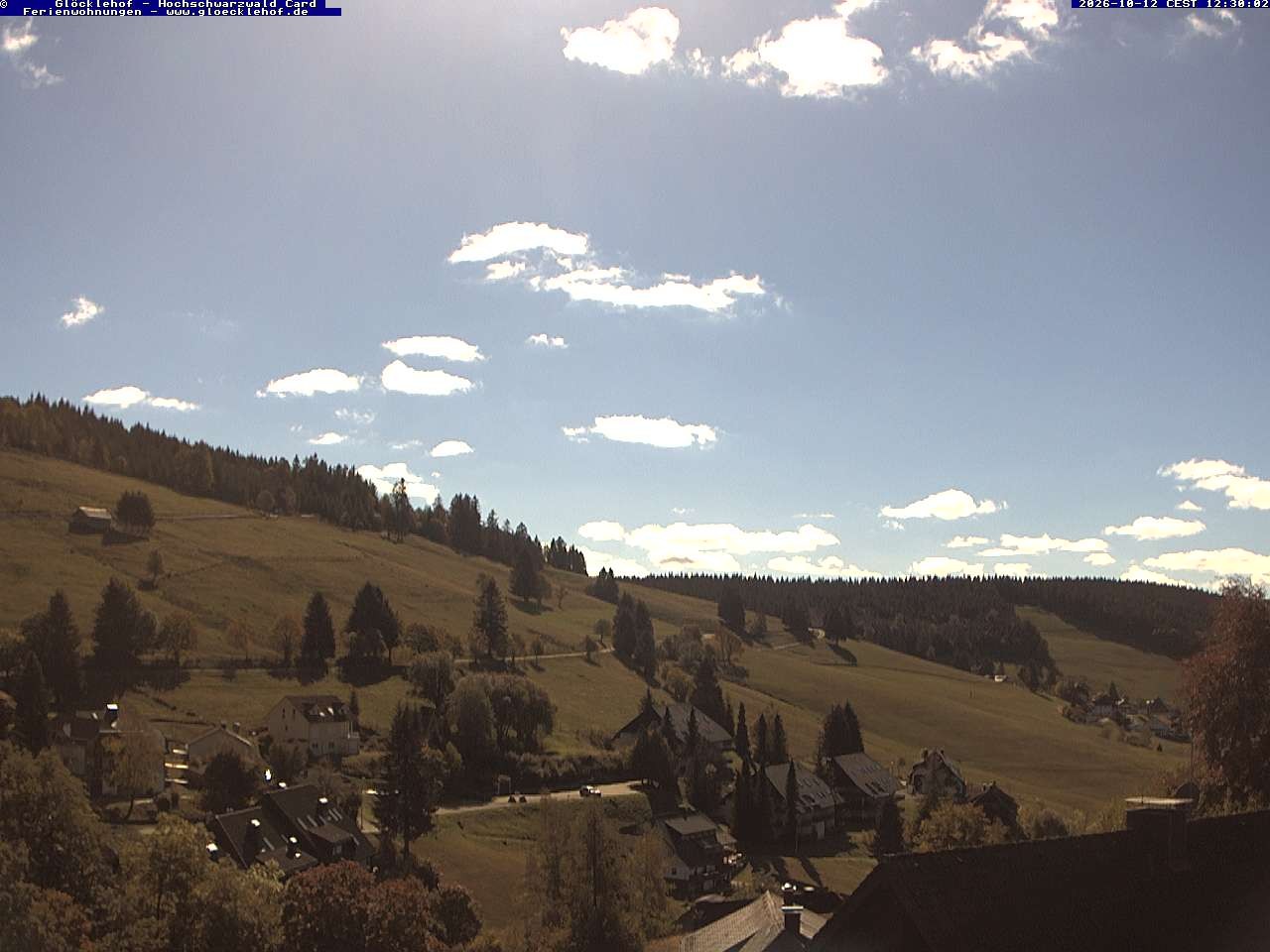 Archiv Foto Webcam Todtnau: Pension Glöcklehof