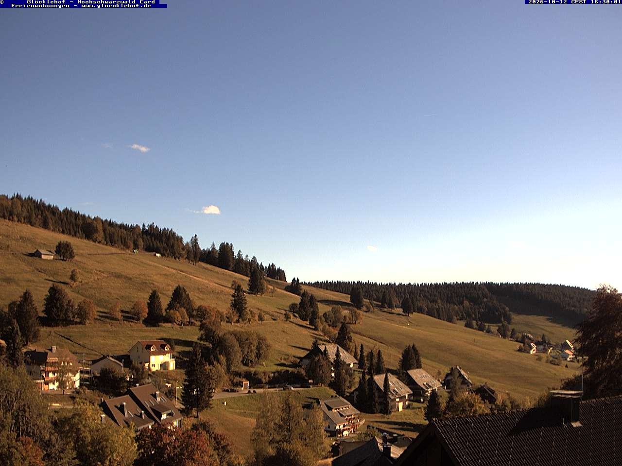 Archiv Foto Webcam Todtnau: Pension Glöcklehof