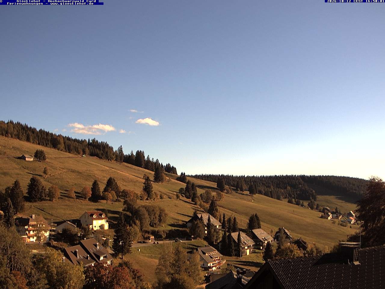 Archiv Foto Webcam Todtnau: Pension Glöcklehof