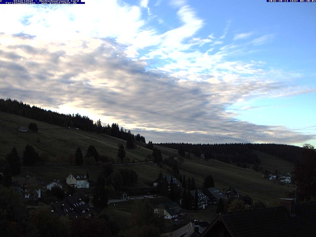 Archiv Foto Webcam Todtnau: Pension Glöcklehof
