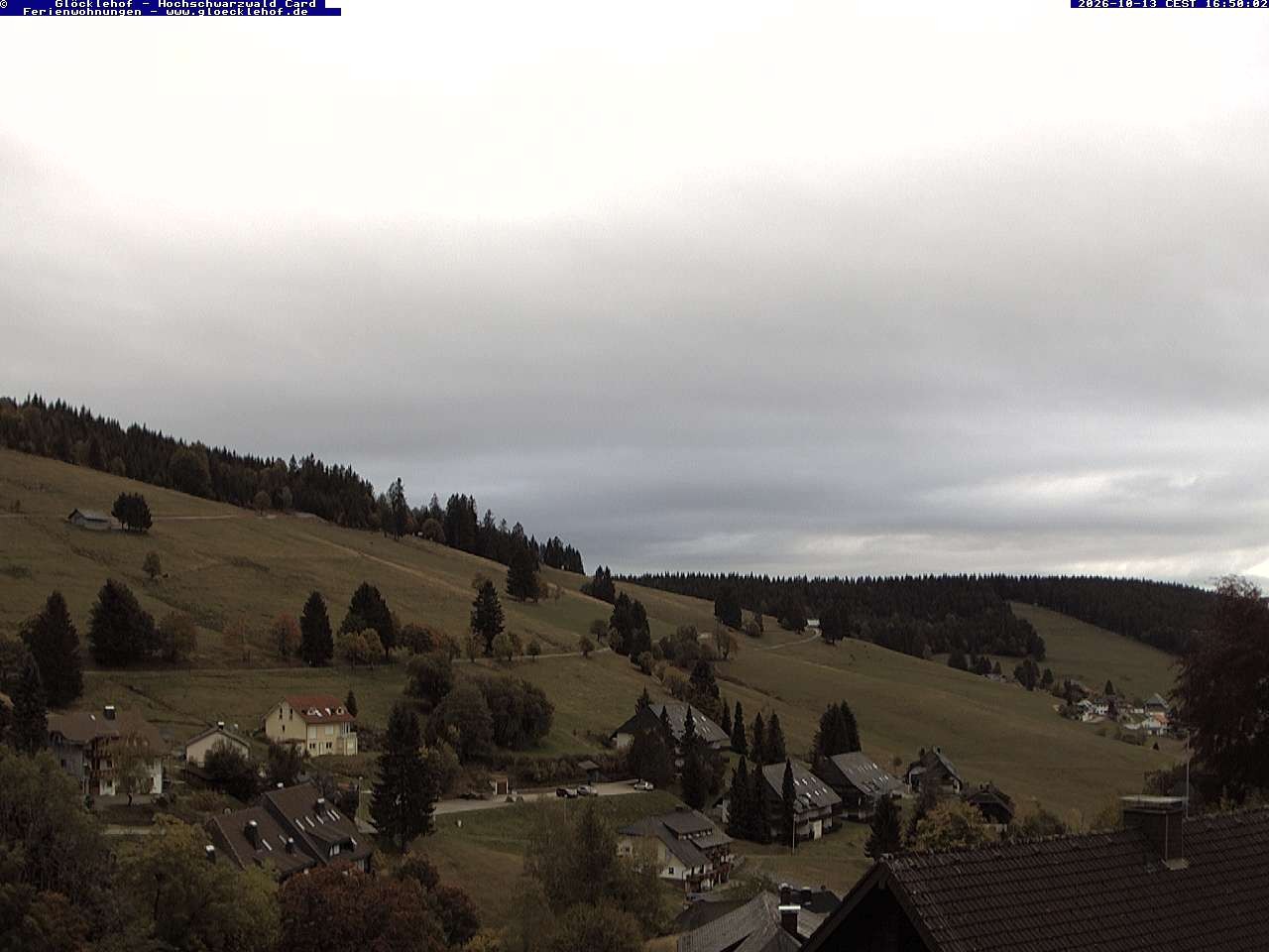 Archiv Foto Webcam Todtnau: Pension Glöcklehof