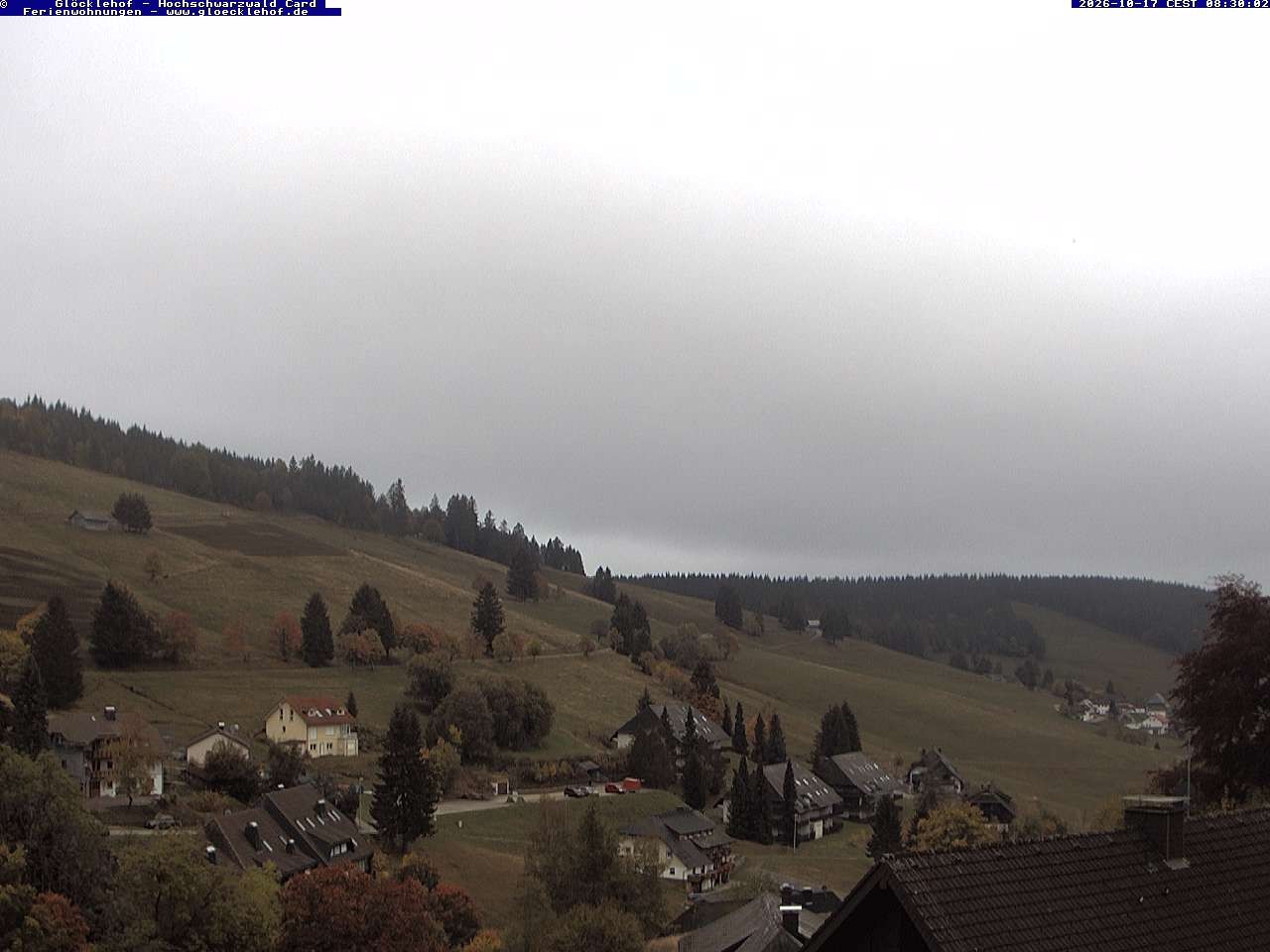 Archiv Foto Webcam Todtnau: Pension Glöcklehof