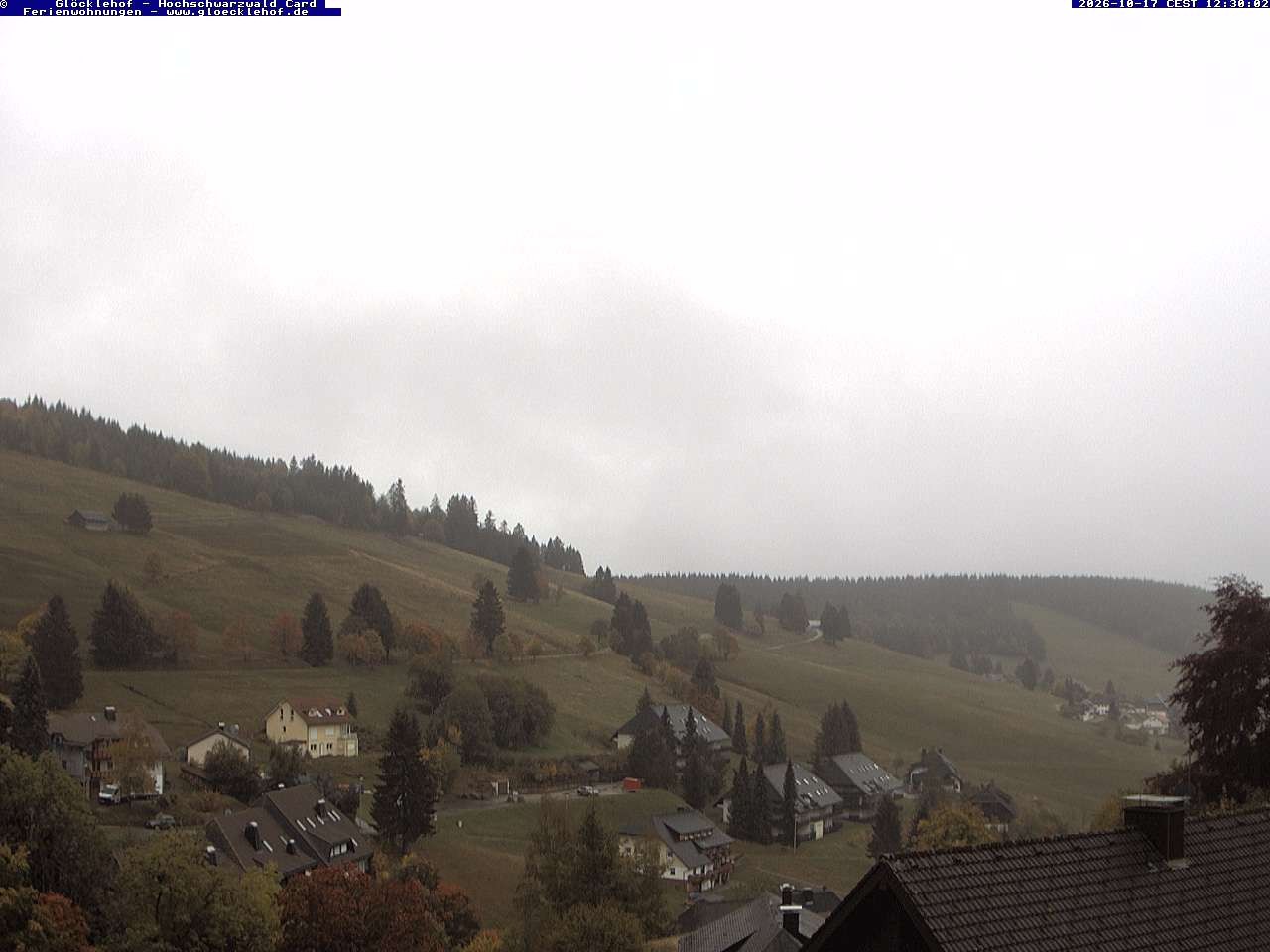 Archiv Foto Webcam Todtnau: Pension Glöcklehof
