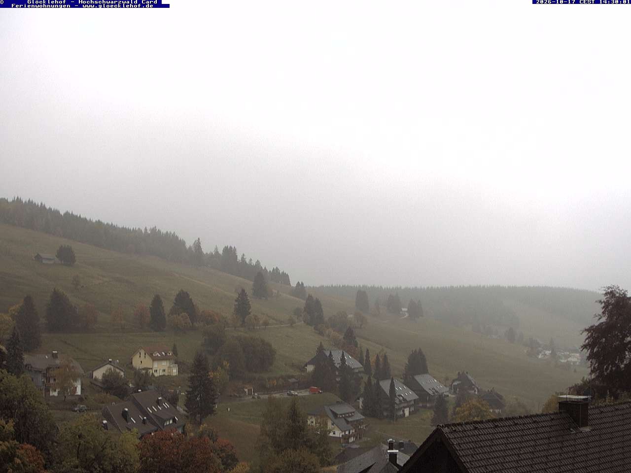 Archiv Foto Webcam Todtnau: Pension Glöcklehof