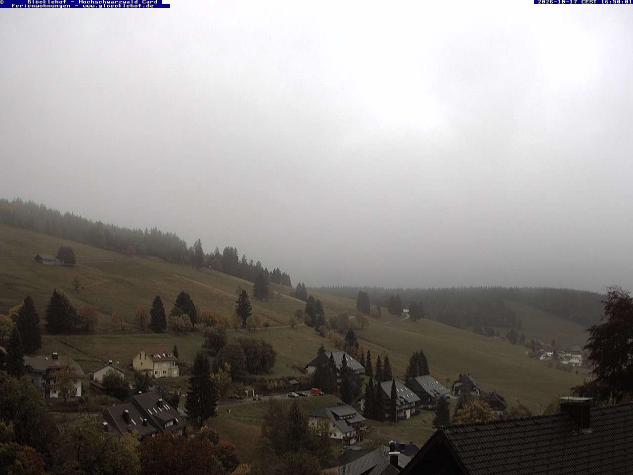 Archiv Foto Webcam Todtnau: Pension Glöcklehof