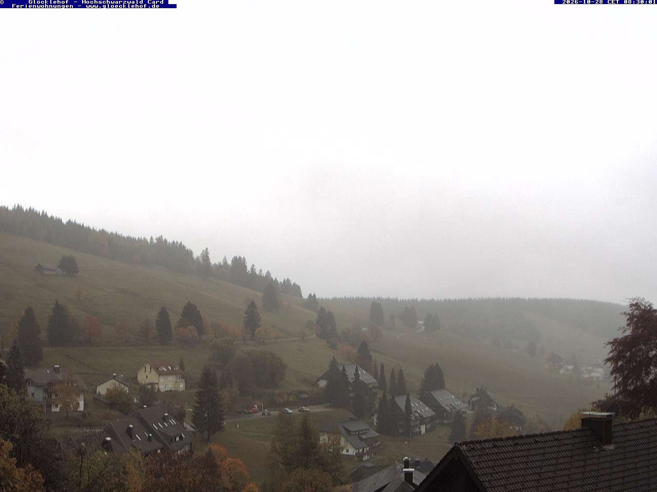 Archiv Foto Webcam Todtnau: Pension Glöcklehof