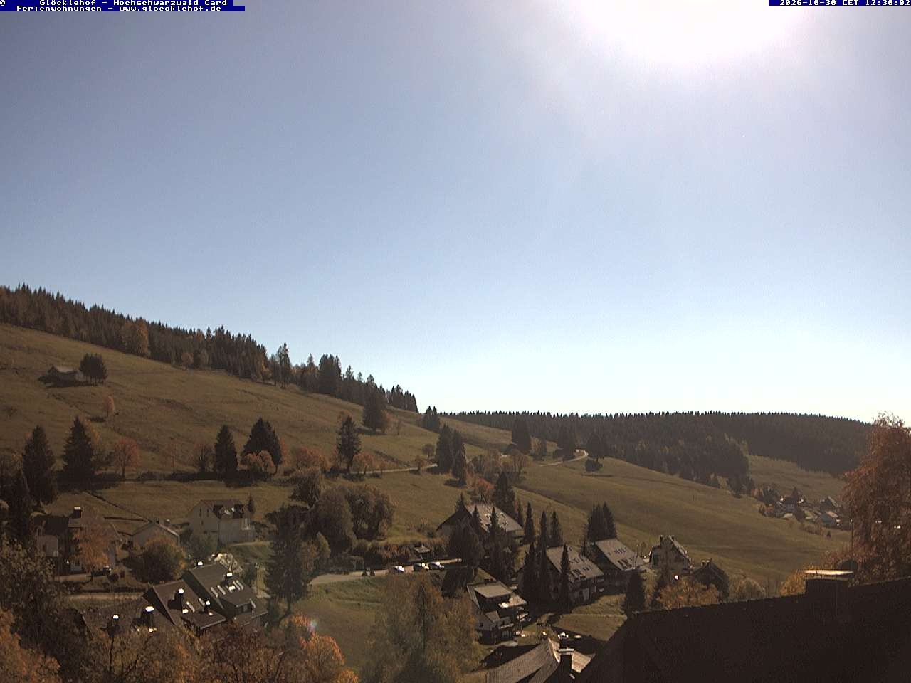 Archiv Foto Webcam Todtnau: Pension Glöcklehof