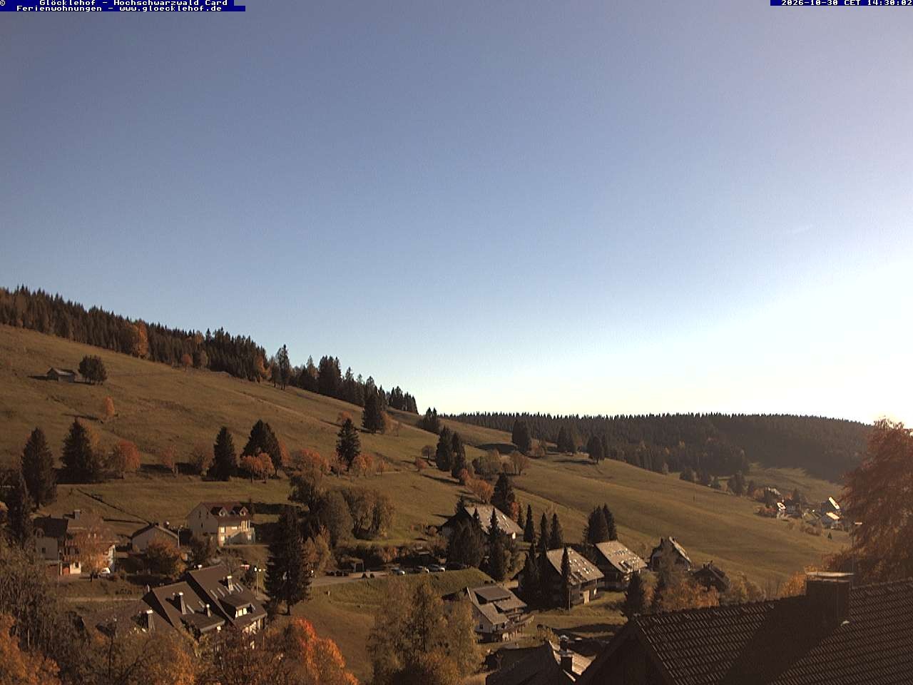 Archiv Foto Webcam Todtnau: Pension Glöcklehof