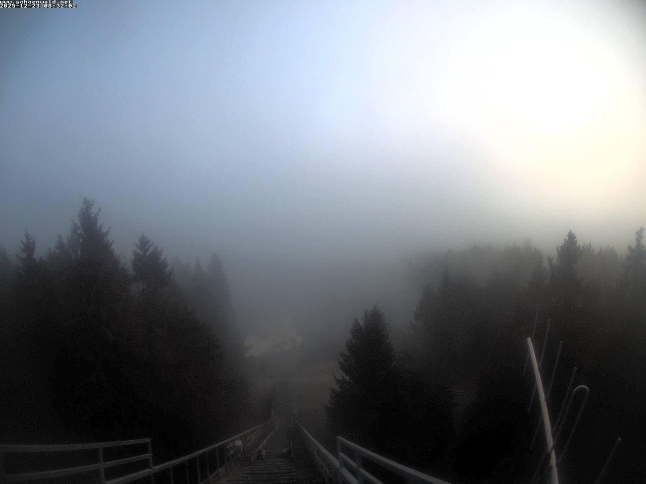 Archiv Foto Webcam Blick auf Schönwald