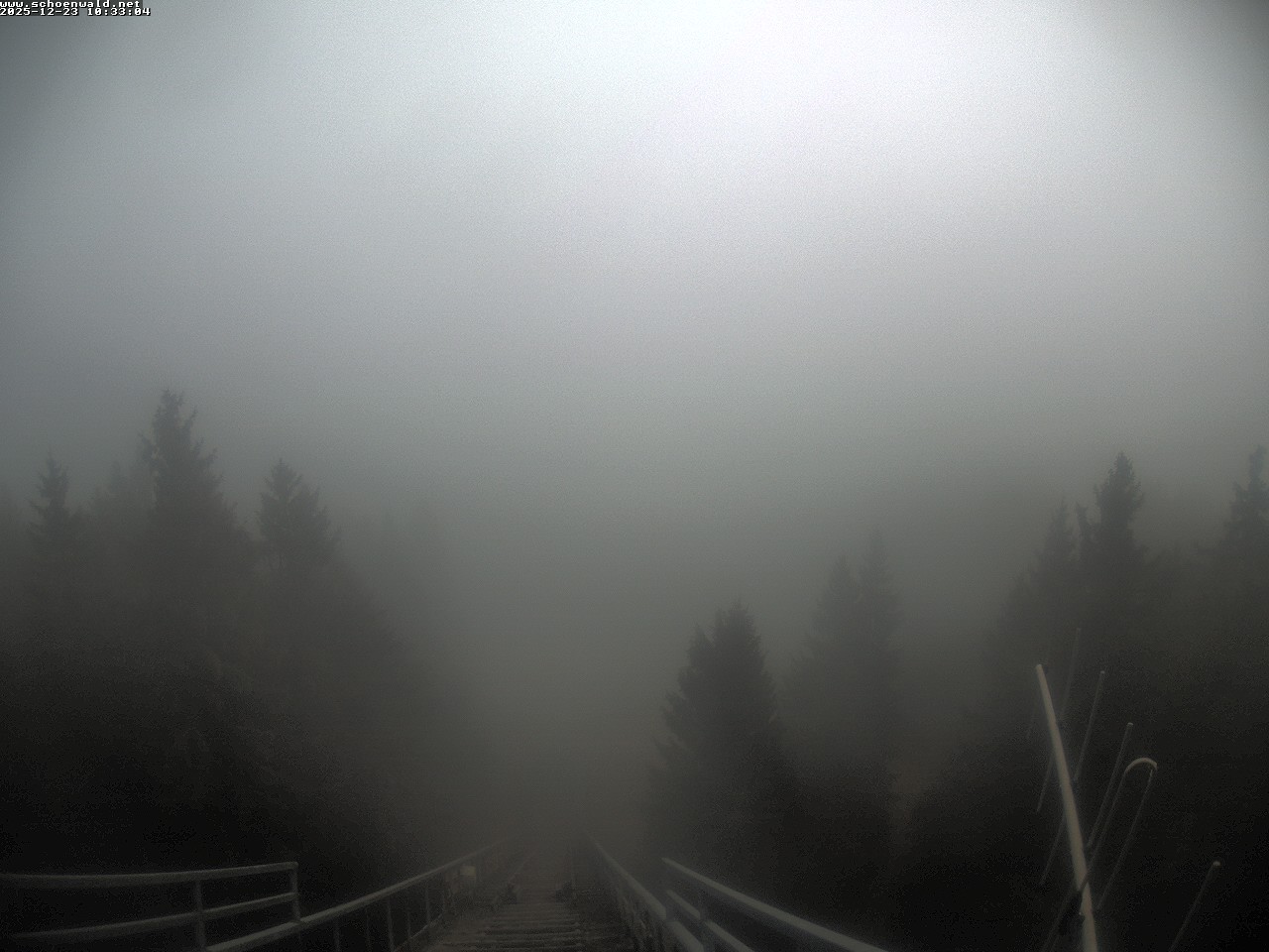 Archiv Foto Webcam Blick auf Schönwald