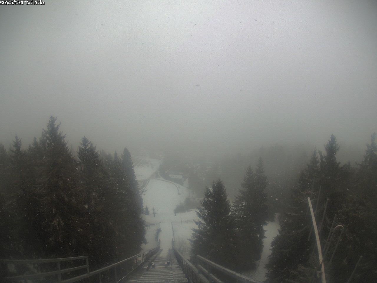 Archiv Foto Webcam Blick auf Schönwald