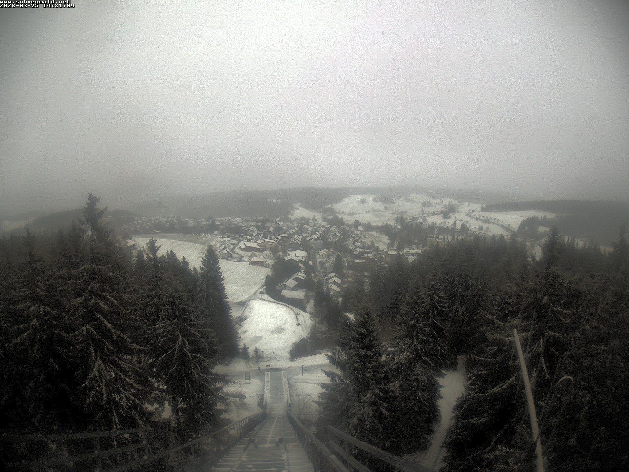 Archiv Foto Webcam Blick auf Schönwald