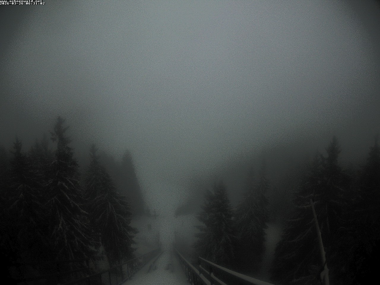 Archiv Foto Webcam Blick auf Schönwald