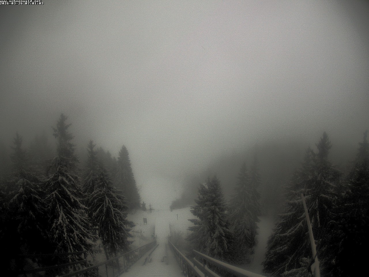 Archiv Foto Webcam Blick auf Schönwald