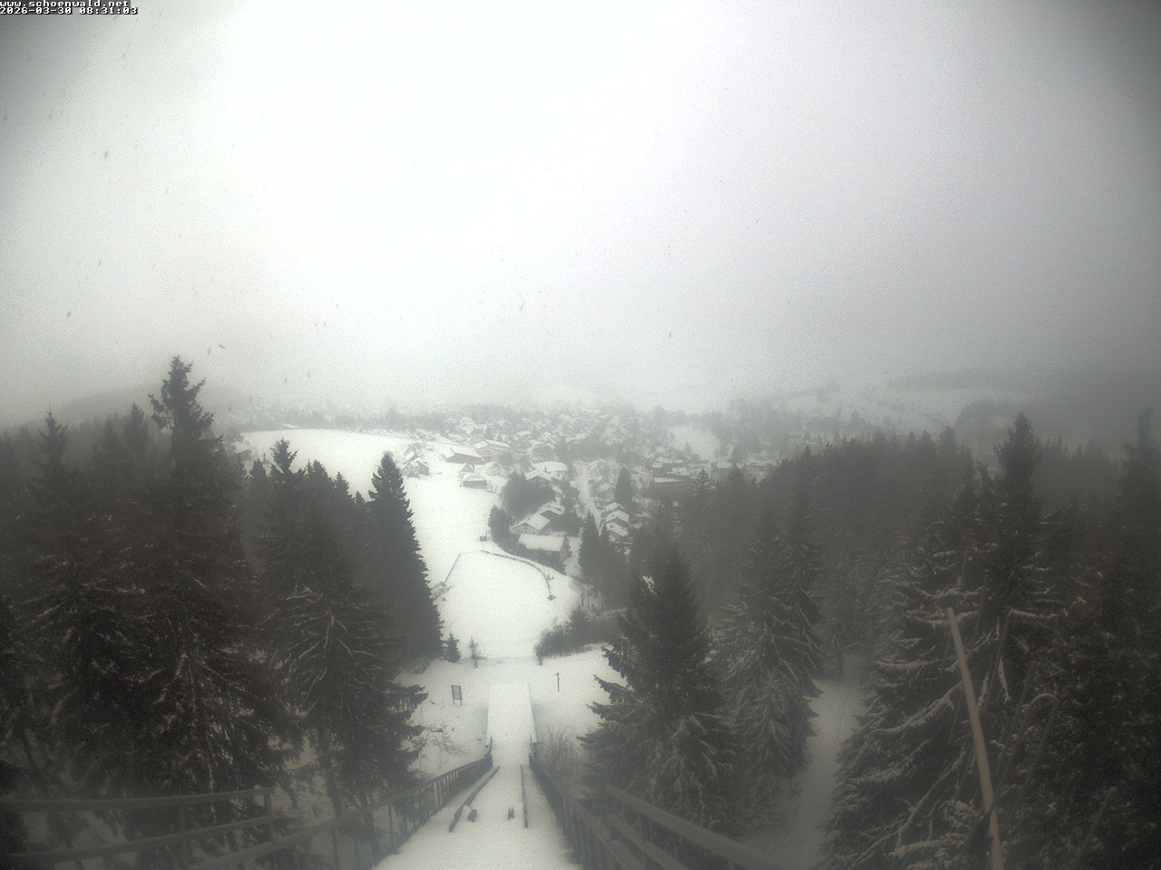 Archiv Foto Webcam Blick auf Schönwald