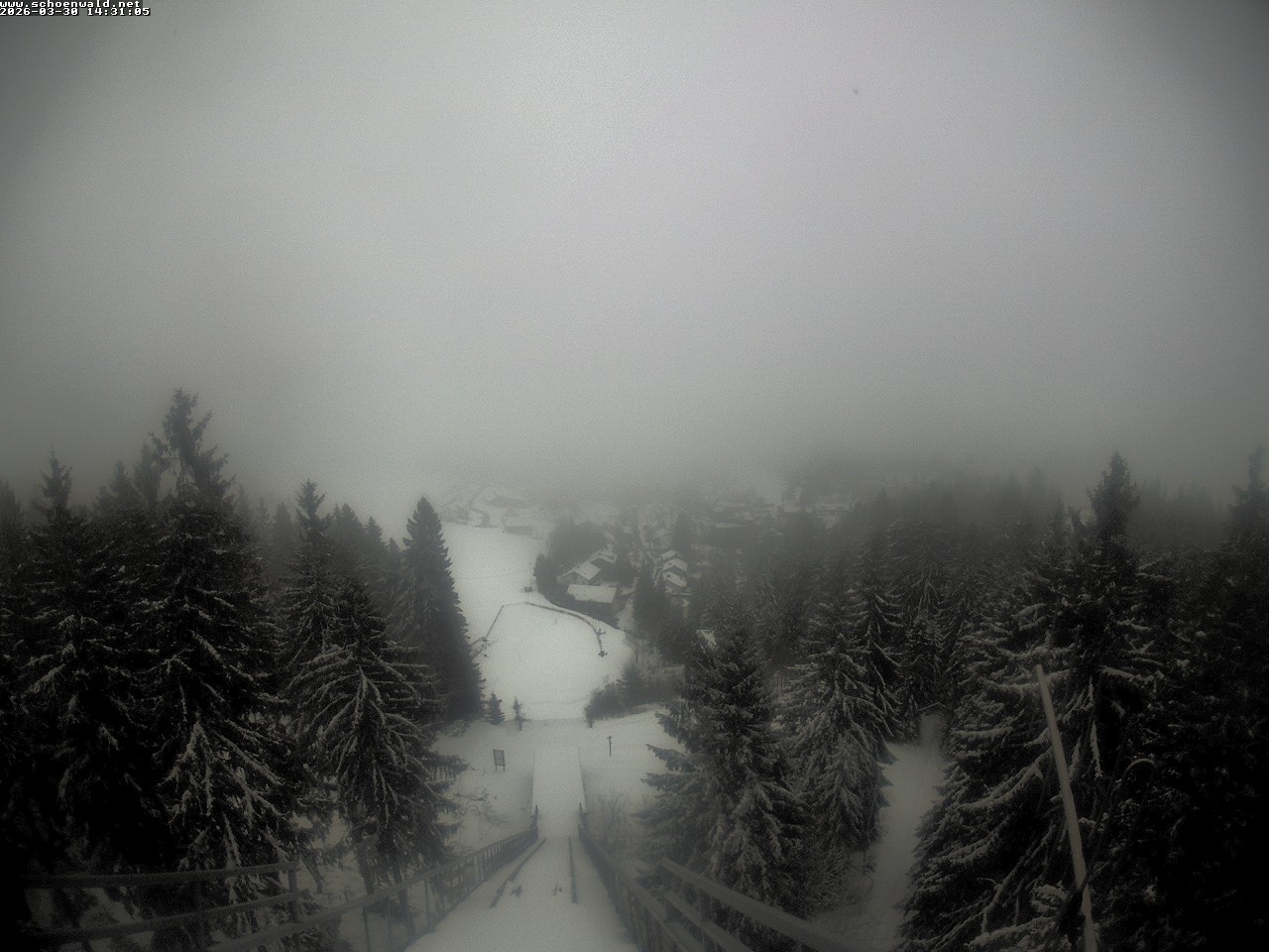 Archiv Foto Webcam Blick auf Schönwald