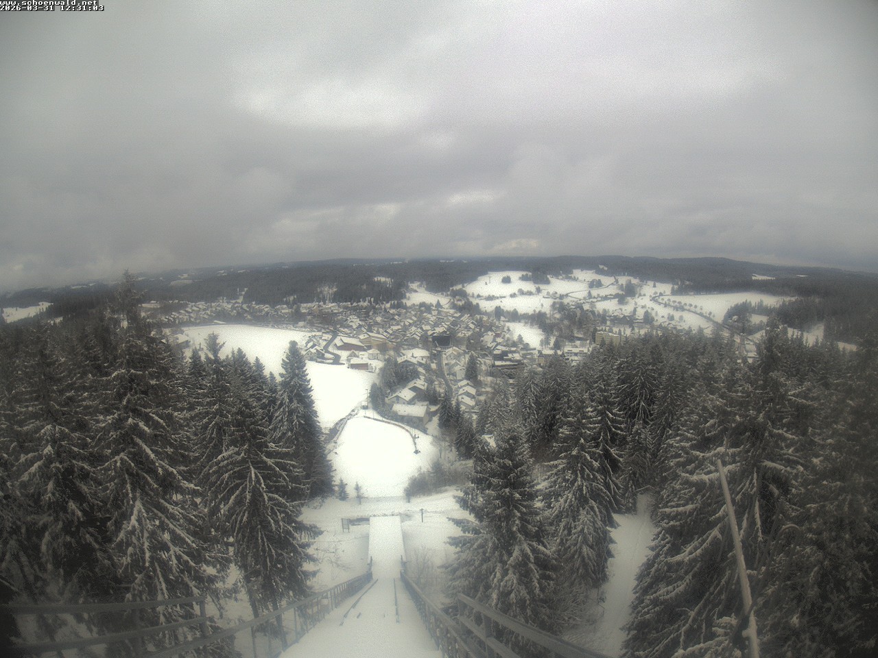 Archiv Foto Webcam Blick auf Schönwald