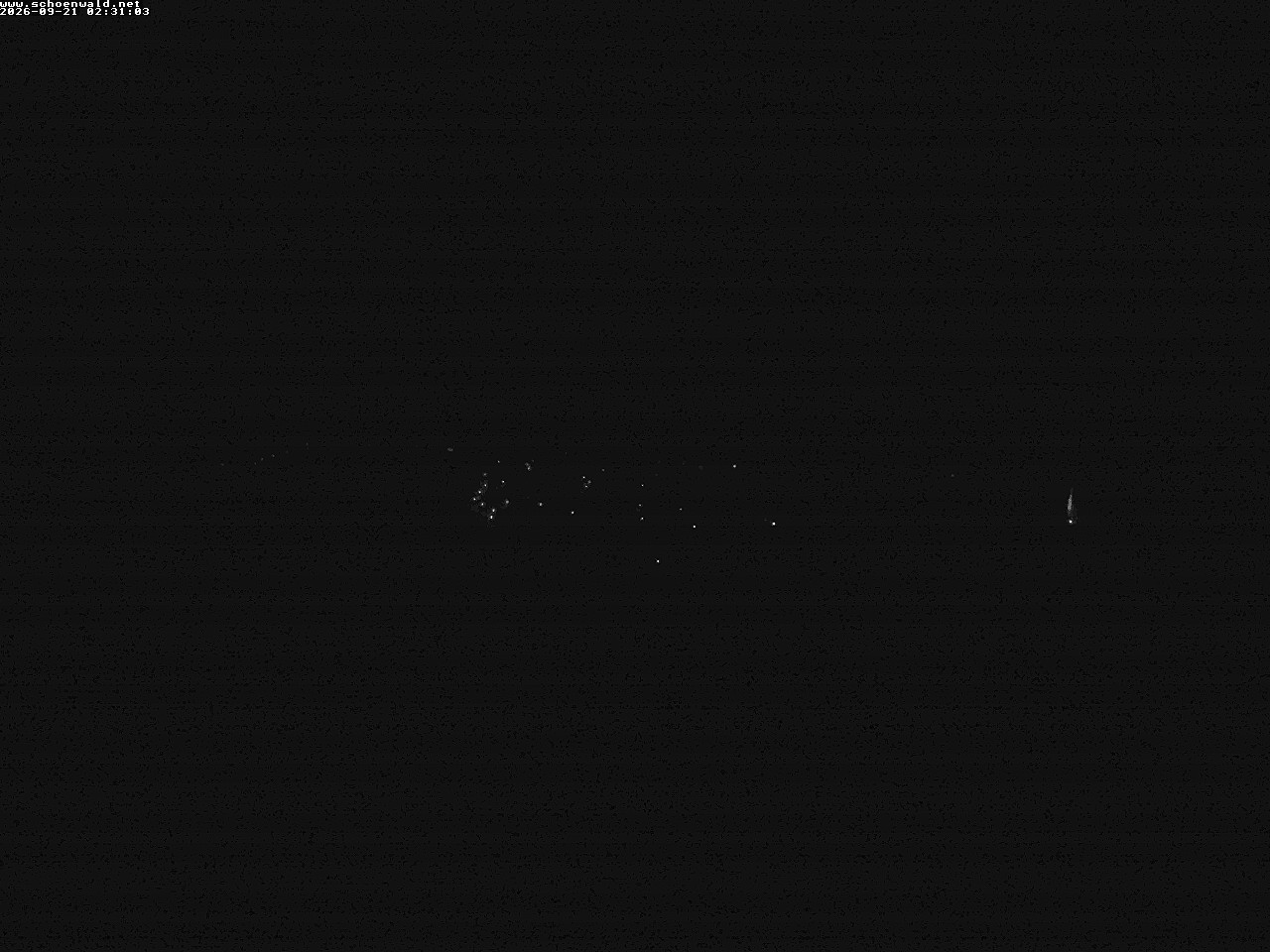 Archiv Foto Webcam Blick auf Schönwald