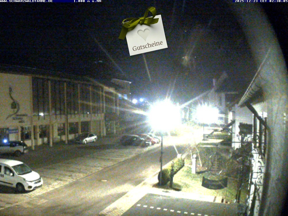 Archiv Foto Webcam Schönwald: Blick vom Gasthof Schwarzwaldtanne