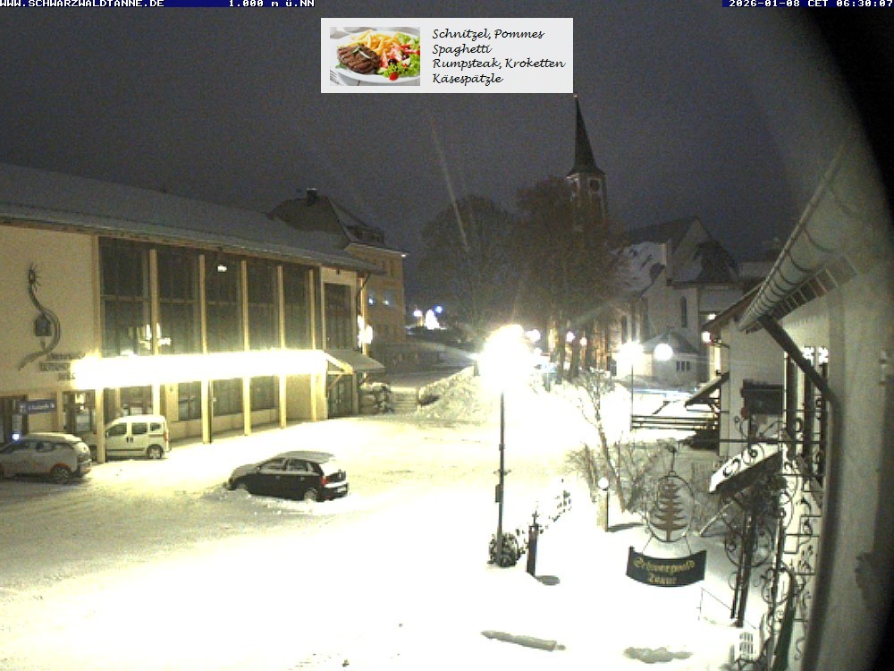 Archiv Foto Webcam Schönwald: Blick vom Gasthof Schwarzwaldtanne