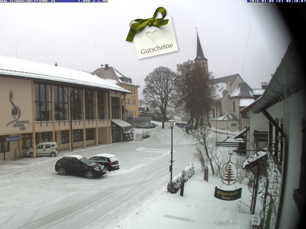 Archiv Foto Webcam Schönwald: Blick vom Gasthof Schwarzwaldtanne