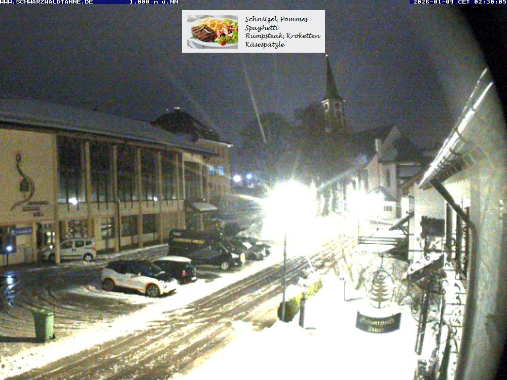 Archiv Foto Webcam Schönwald: Blick vom Gasthof Schwarzwaldtanne