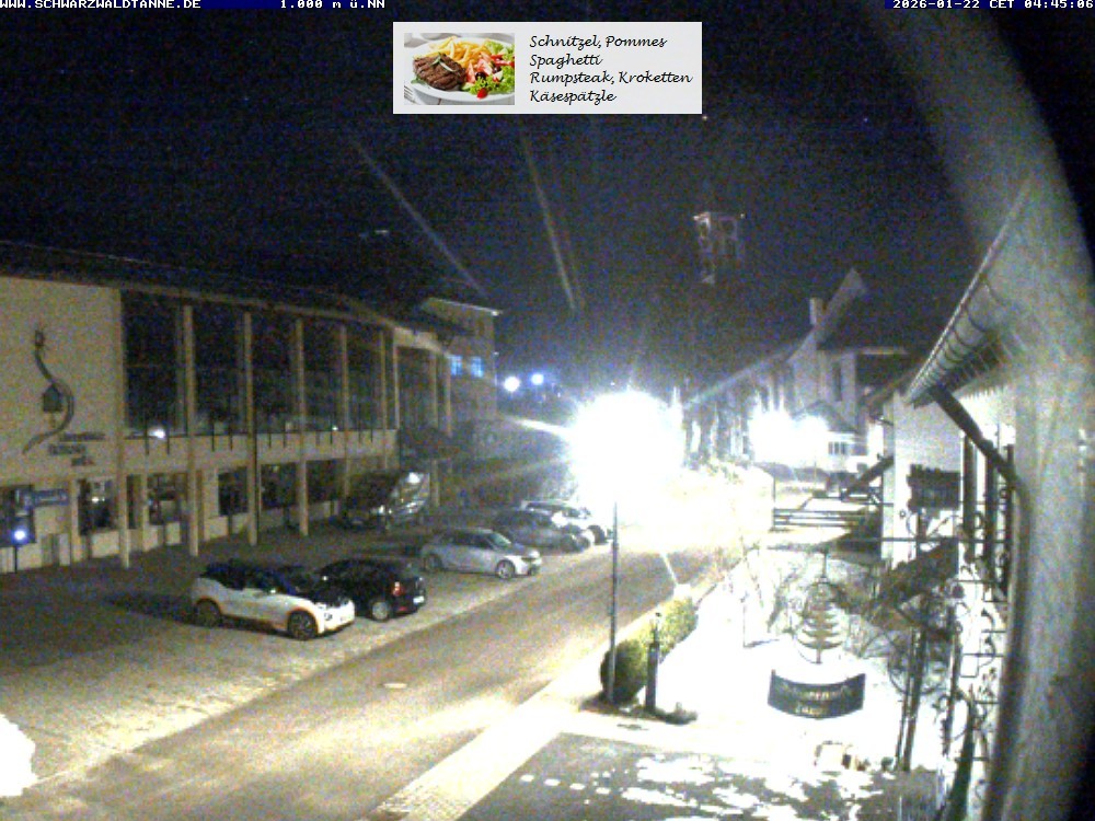 Archiv Foto Webcam Schönwald: Blick vom Gasthof Schwarzwaldtanne