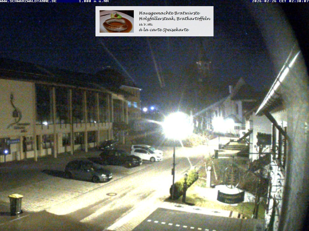 Archived image Webcam View from Guesthouse "Schwarzwaldtanne"