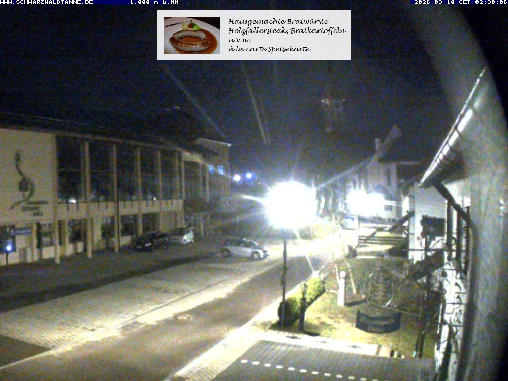 Archiv Foto Webcam Schönwald: Blick vom Gasthof Schwarzwaldtanne