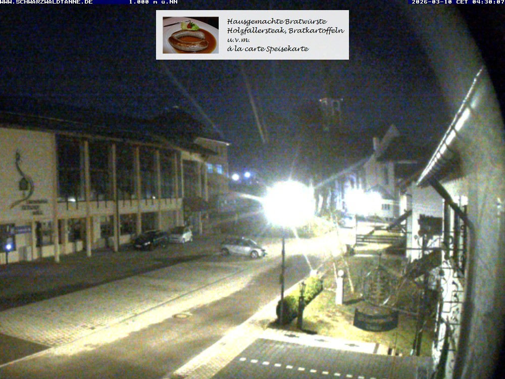 Archiv Foto Webcam Schönwald: Blick vom Gasthof Schwarzwaldtanne