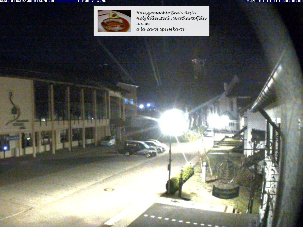 Archiv Foto Webcam Schönwald: Blick vom Gasthof Schwarzwaldtanne