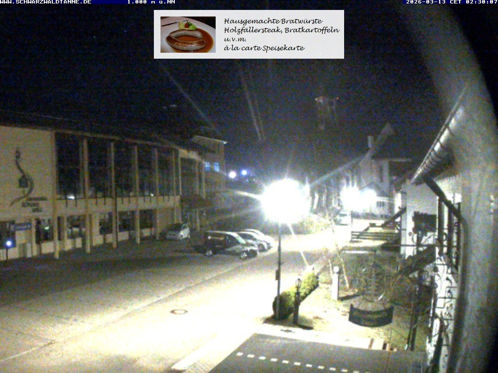 Archiv Foto Webcam Schönwald: Blick vom Gasthof Schwarzwaldtanne