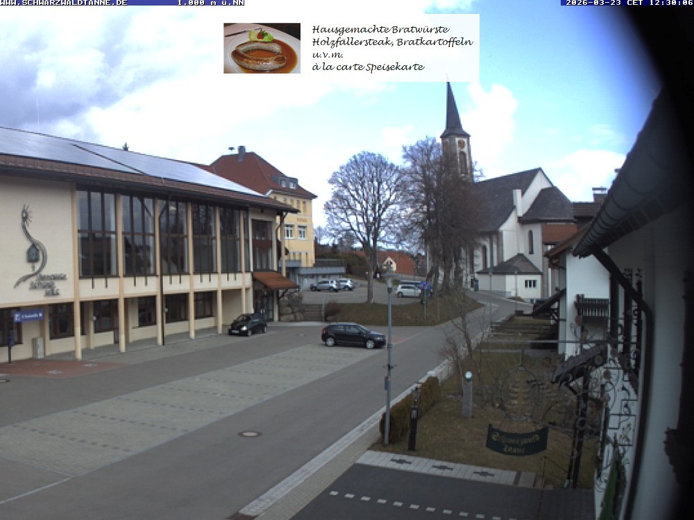 Archiv Foto Webcam Schönwald: Blick vom Gasthof Schwarzwaldtanne