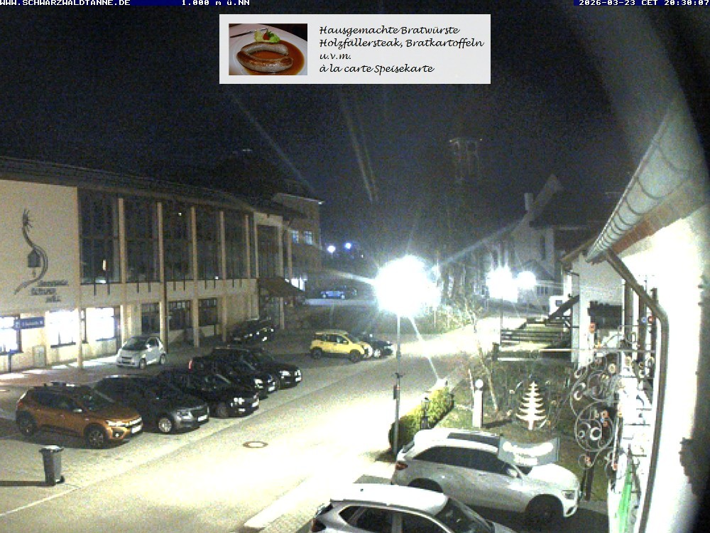 Archived image Webcam View from Guesthouse "Schwarzwaldtanne"