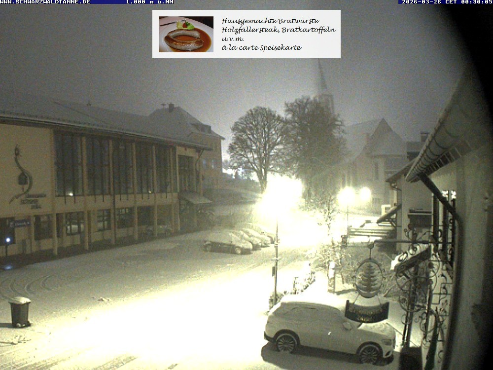 Archived image Webcam View from Guesthouse "Schwarzwaldtanne"