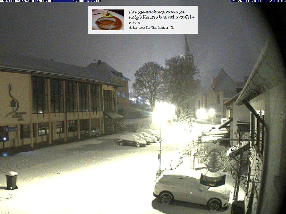 Archived image Webcam View from Guesthouse "Schwarzwaldtanne"