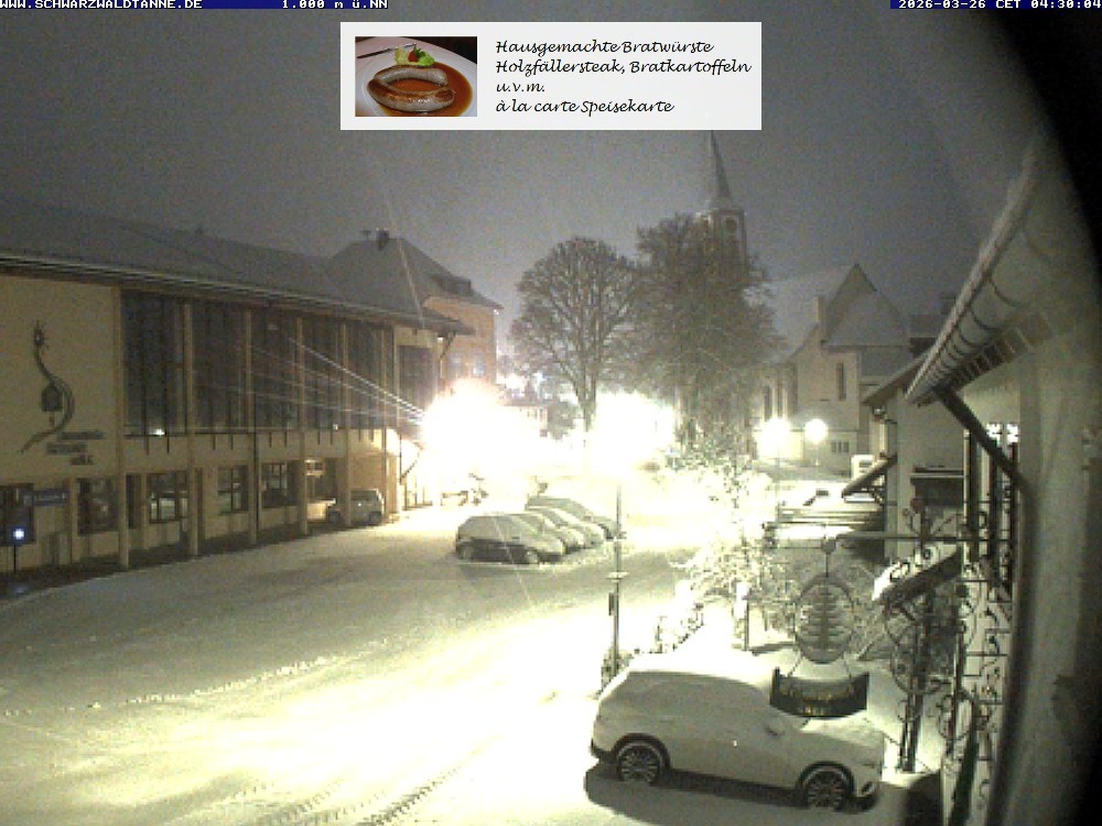 Archived image Webcam View from Guesthouse "Schwarzwaldtanne"