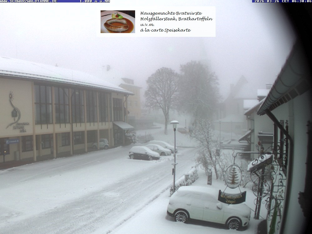 Archived image Webcam View from Guesthouse "Schwarzwaldtanne"