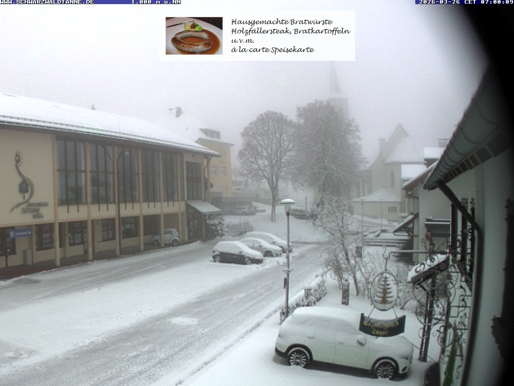 Archived image Webcam View from Guesthouse "Schwarzwaldtanne"