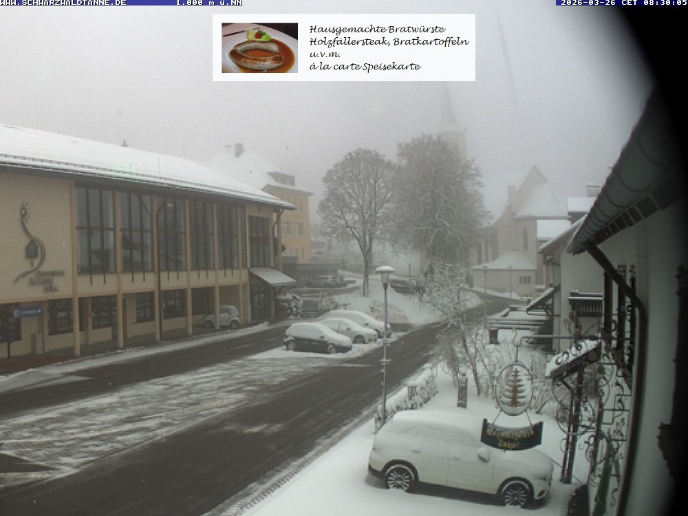 Archived image Webcam View from Guesthouse "Schwarzwaldtanne"