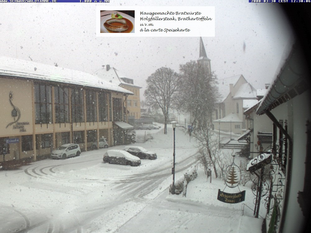Archiv Foto Webcam Schönwald: Blick vom Gasthof Schwarzwaldtanne