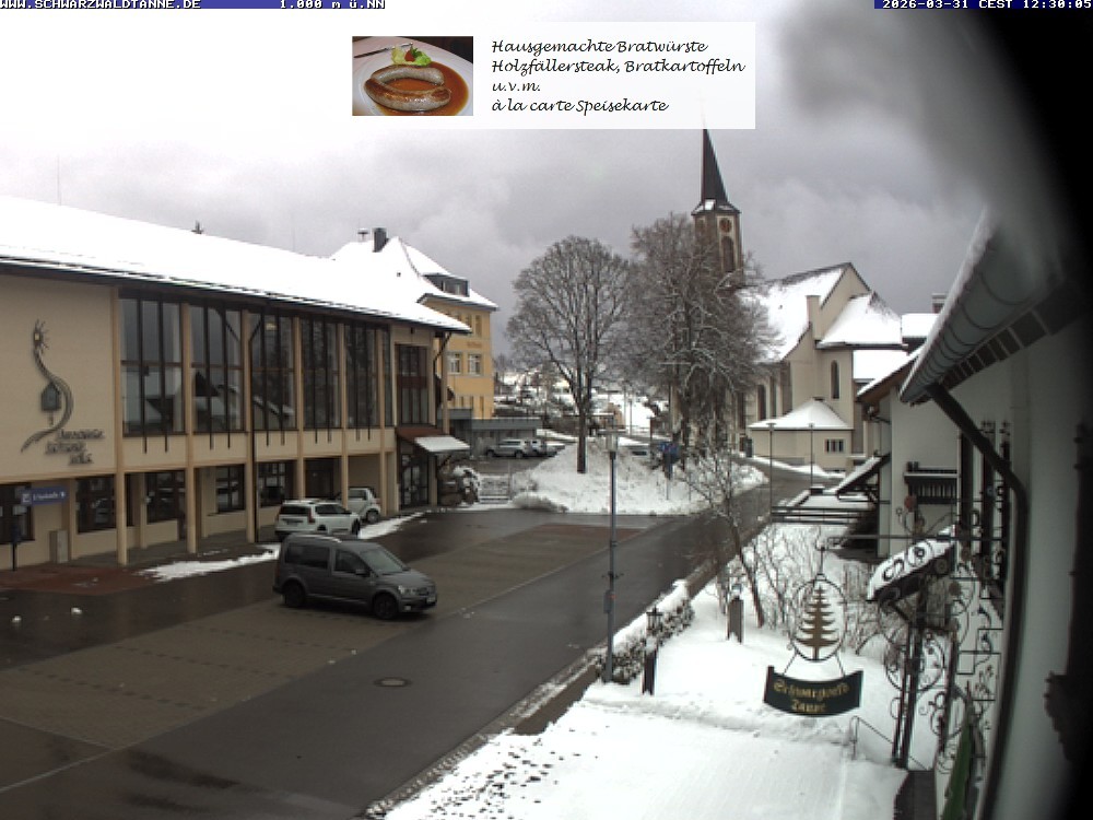 Archiv Foto Webcam Schönwald: Blick vom Gasthof Schwarzwaldtanne