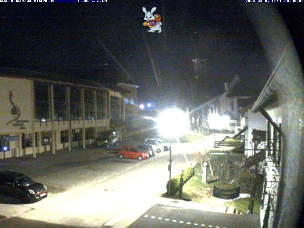 Archiv Foto Webcam Schönwald: Blick vom Gasthof Schwarzwaldtanne