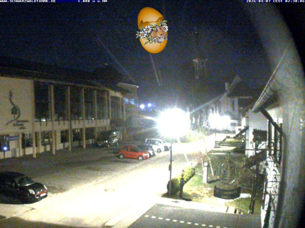 Archiv Foto Webcam Schönwald: Blick vom Gasthof Schwarzwaldtanne